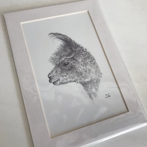 Accessories - A custom sketch of a llama from Llama Art Show.